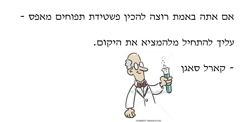 תהליך החקר השלם קבוצת תפוח-מיכל,ענבר,אלמוג,אלון by inbar pollak - Ourboox.com