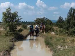 החכם והמים המלוכלכים by sozan - Ourboox.com