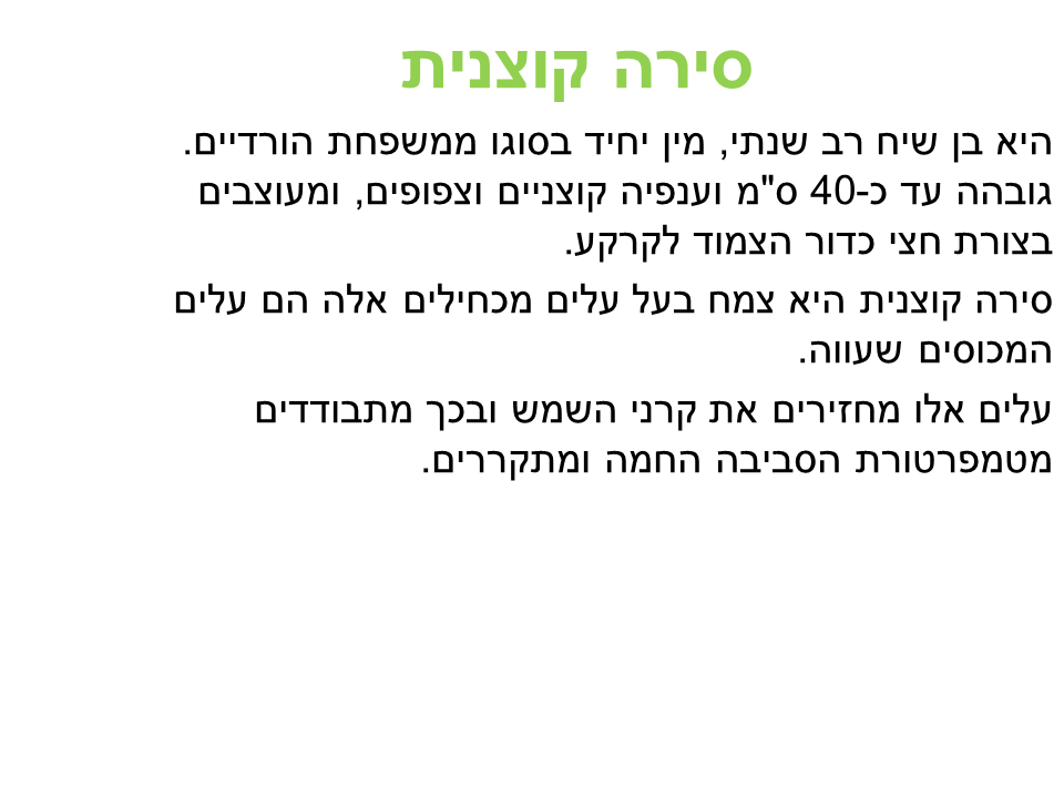 התאמת צמחים לסביבת יובש קבוצה ג’ by lielremnick - Ourboox.com