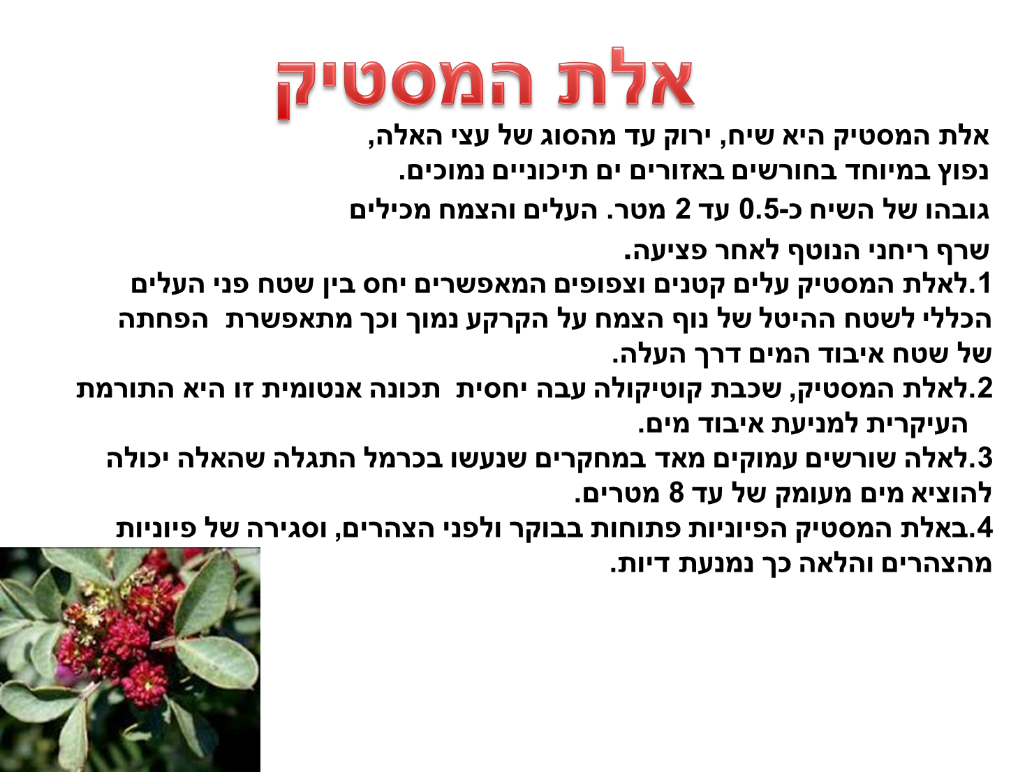 קבוצה ד’ by eden.shalamov - Ourboox.com