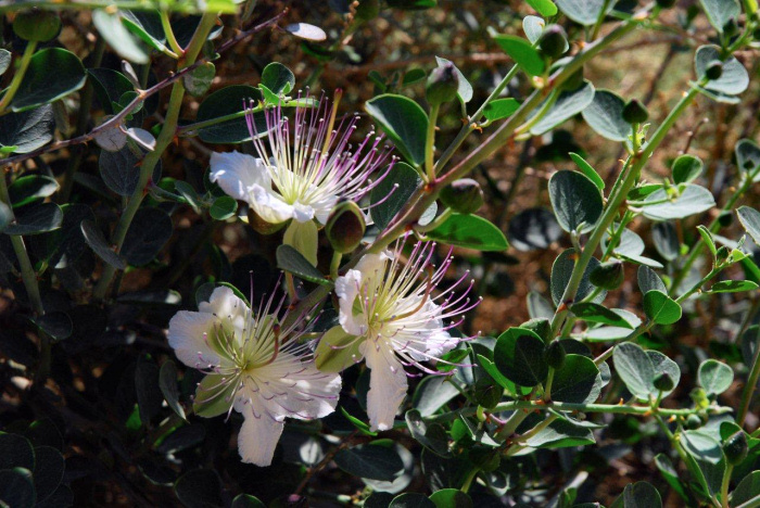 קבוצה ד’ by eden.shalamov - Ourboox.com