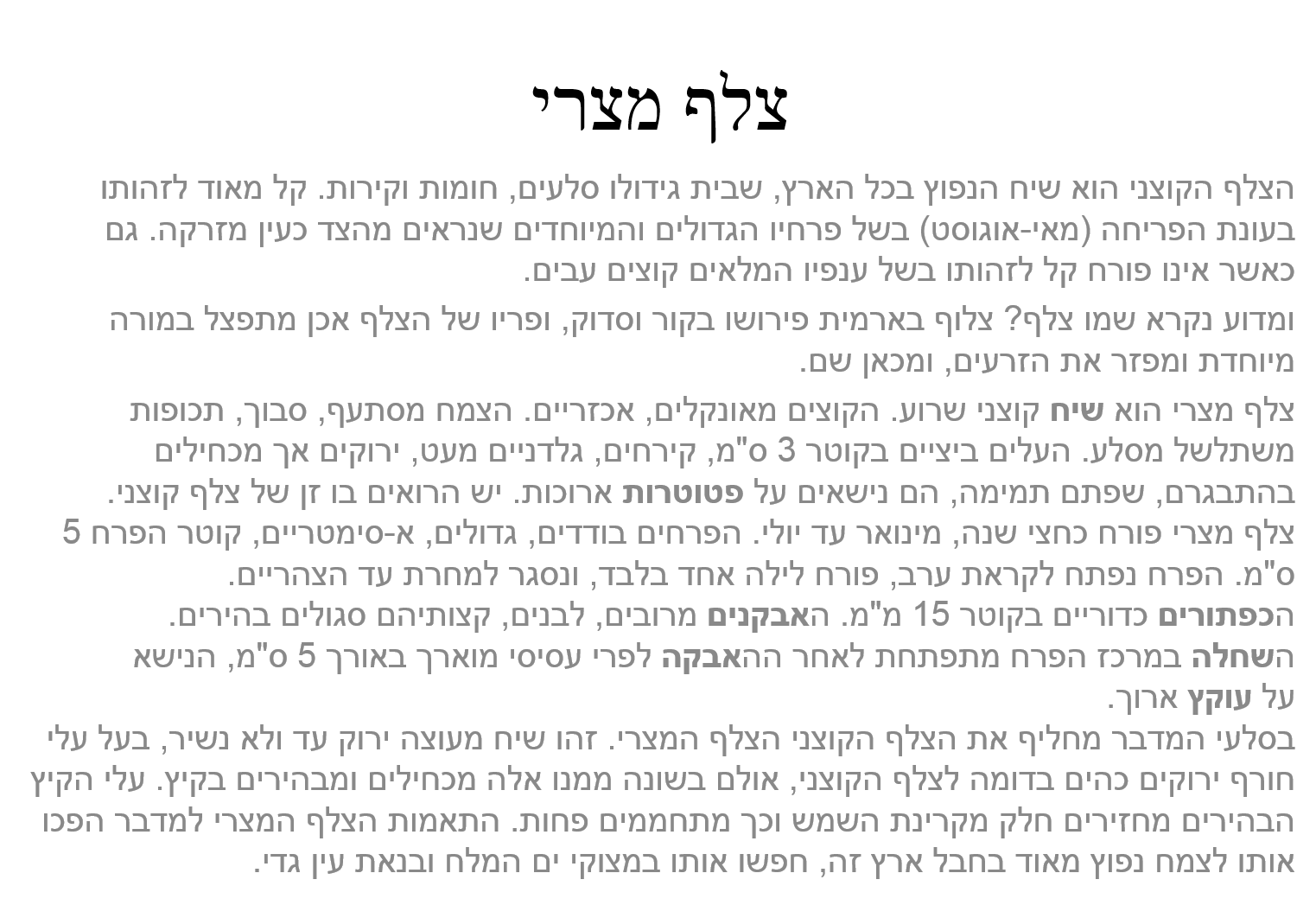 קבוצה ד’ by eden.shalamov - Ourboox.com