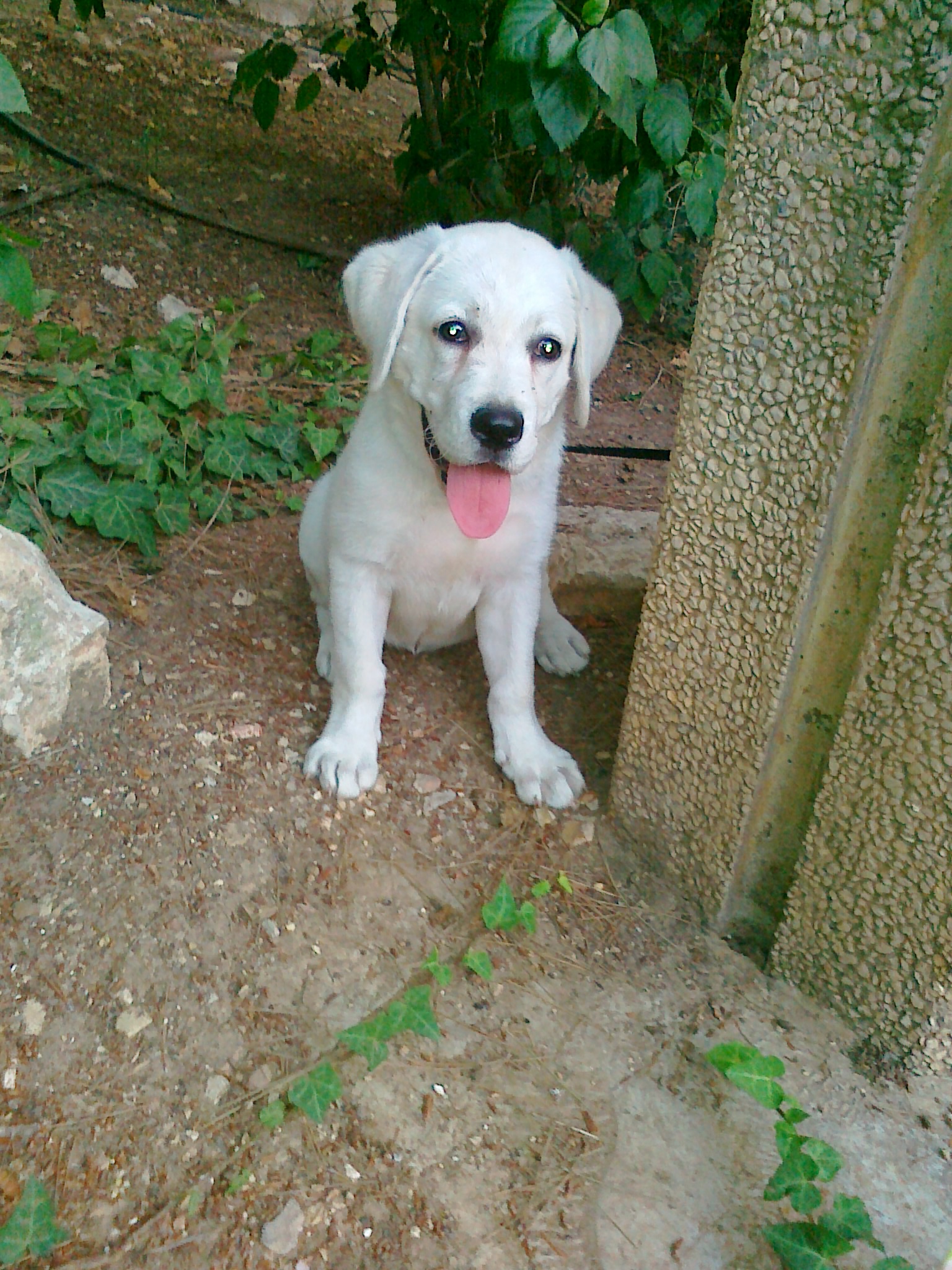 ma famille by tamar bar - Ourboox.com