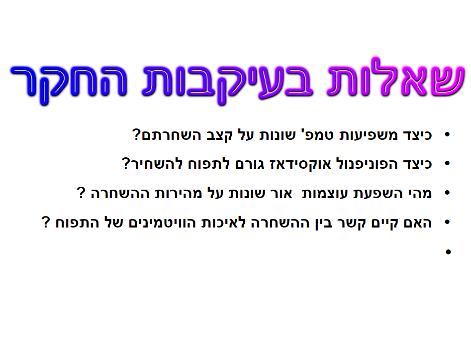 תהליך החקר השלם תפוחים by ofekh - Ourboox.com