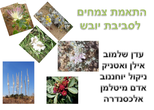 קבוצה ד’ by eden.shalamov - Ourboox.com
