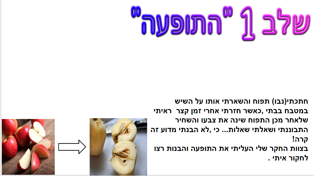תהליך החקר השלם תפוחים by ofekh - Ourboox.com