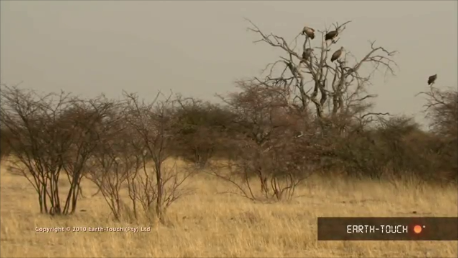 נסיון by yehudit avidan - Ourboox.com