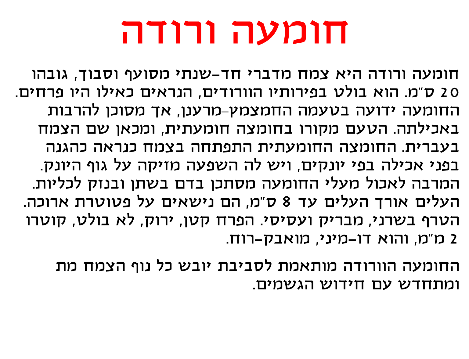 קבוצה ב’ by shiran - Ourboox.com