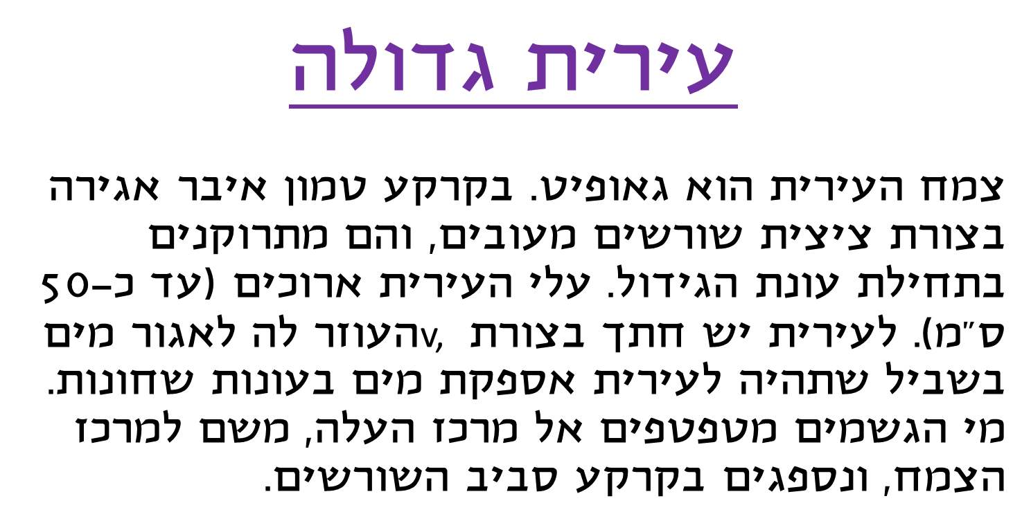 קבוצה ב’ by shiran - Ourboox.com