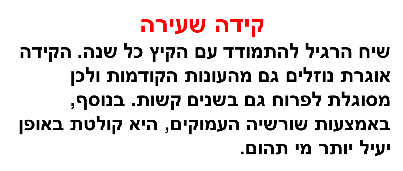 התאמת צמחים לסביבת יובש- קבוצה א by harel trabelsi - Ourboox.com