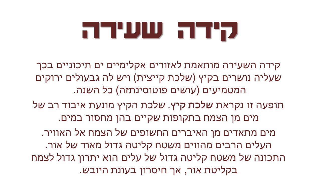 צמחים המותאמים לסביבת יובש- קבוצה ו by nogacohen - Ourboox.com