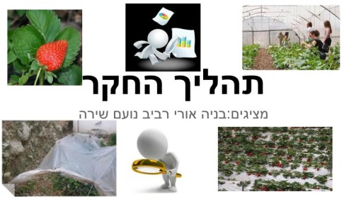 תהליך החקר השלם- אורי בניה נועם שירה.א ורביב by noam peretze - Illustrated by קבוצת התותים - Ourboox.com