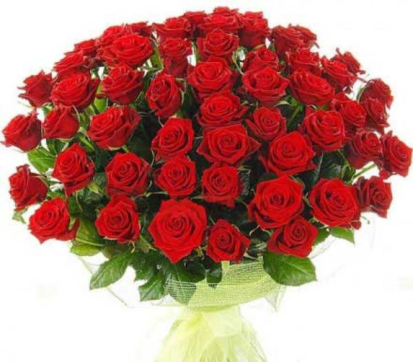 סברה by avital sak - Ourboox.com