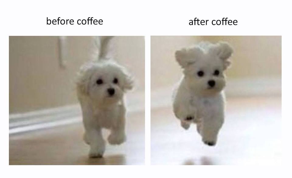 תמונות מצחיקות by haviva - Ourboox.com