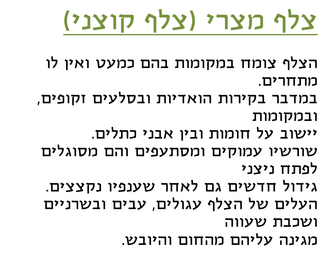 קבוצה ב’ by shiran - Ourboox.com
