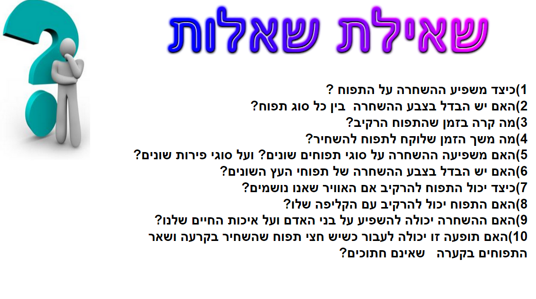 תהליך החקר השלם תפוחים by ofekh - Ourboox.com