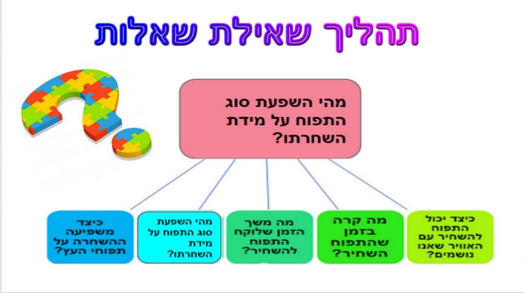 תהליך החקר השלם תפוחים by ofekh - Ourboox.com