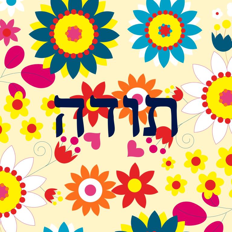 תהליך החקר השלם קבוצת תפוח-מיכל,ענבר,אלמוג,אלון by inbar pollak - Ourboox.com