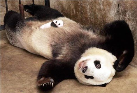 Gallery by avital sak - Ourboox.com