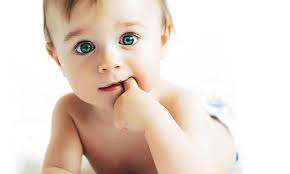 Découvrez-moi! by Baban Giulia - Illustrated by Baban Giulia - Ourboox.com