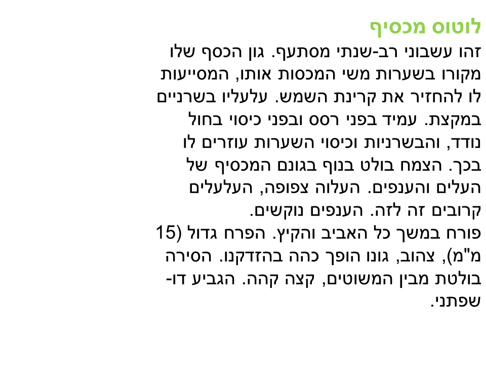 התאמת צמחים לסביבת יובש קבוצה ג’ by lielremnick - Ourboox.com