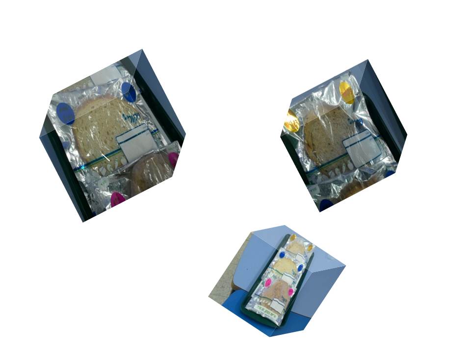 תהליך החקר השלם -יעל שי-לי אלמוג בן אדיבה ויונתן ☺ by shaylee - Ourboox.com