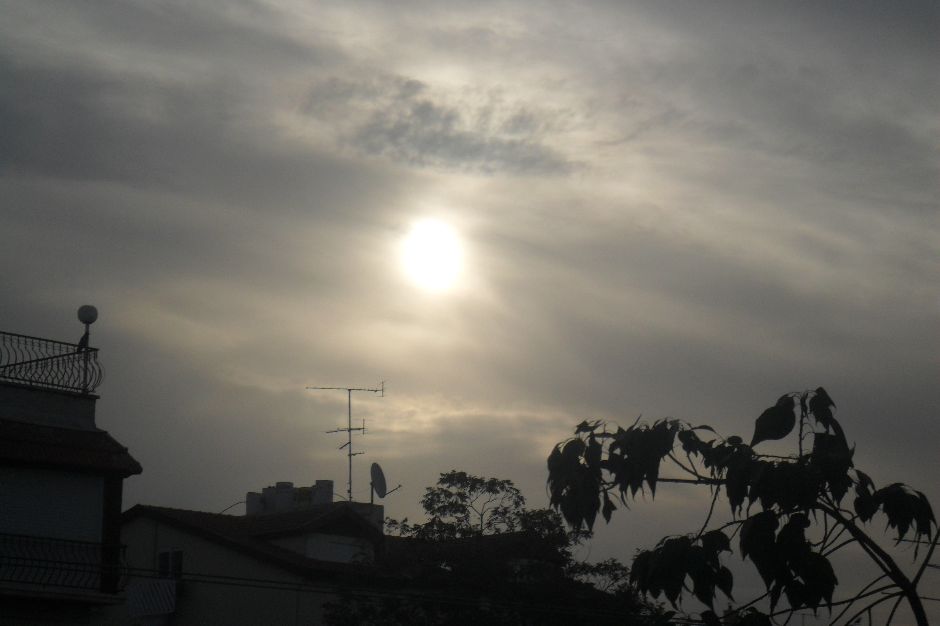 ג’ודי פז-רוטנר מבצע צוק איתן by judi paz rotner - Illustrated by     נערך ונכתב על ידי ג