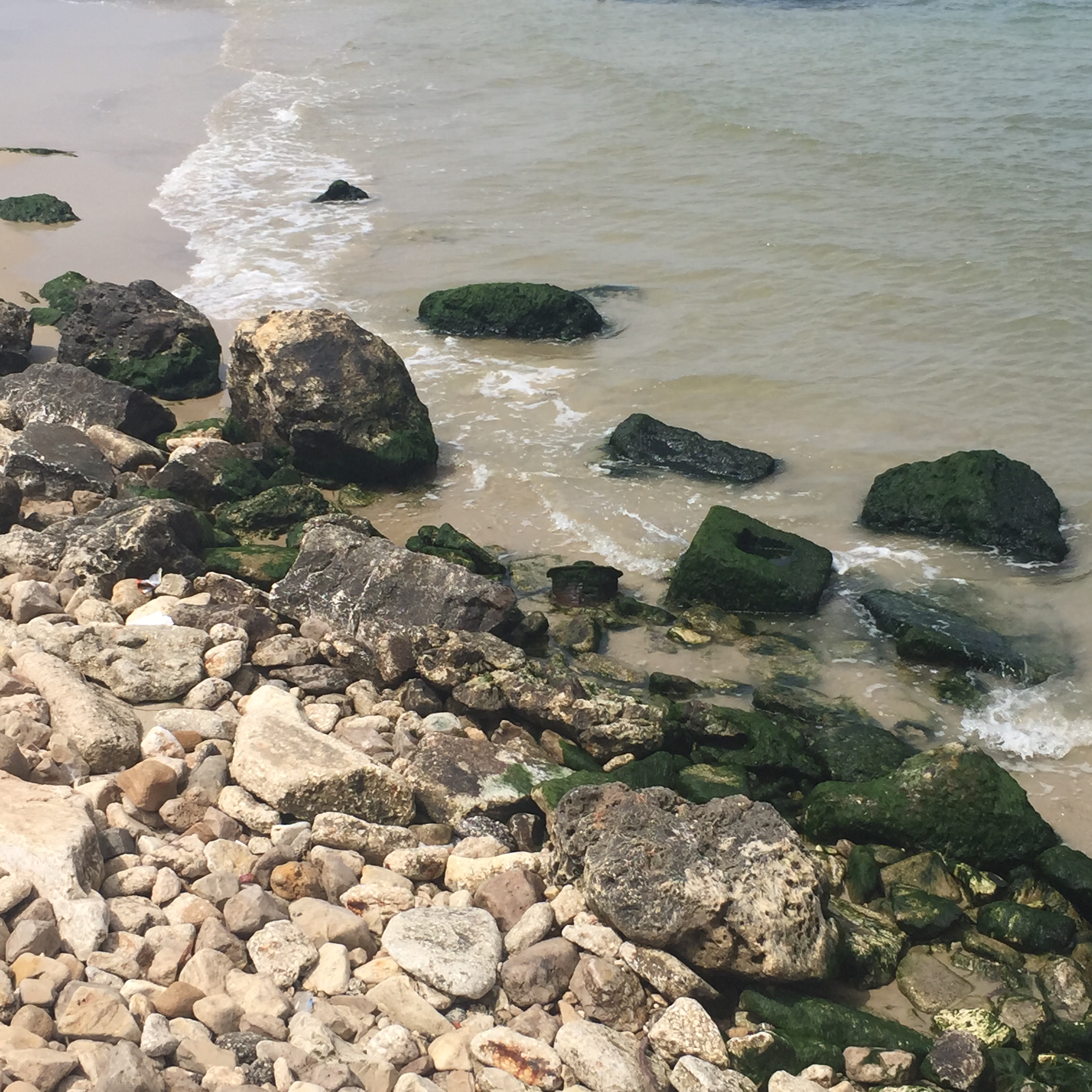 יש ימים כאלה by Mel Rosenberg - מל רוזנברג - Ourboox.com