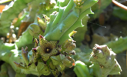 קבוצה ב’ by shiran - Ourboox.com