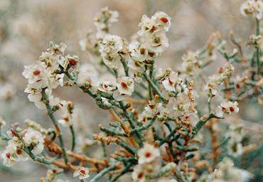 קבוצה ה’ by NIKOL VO - Ourboox.com