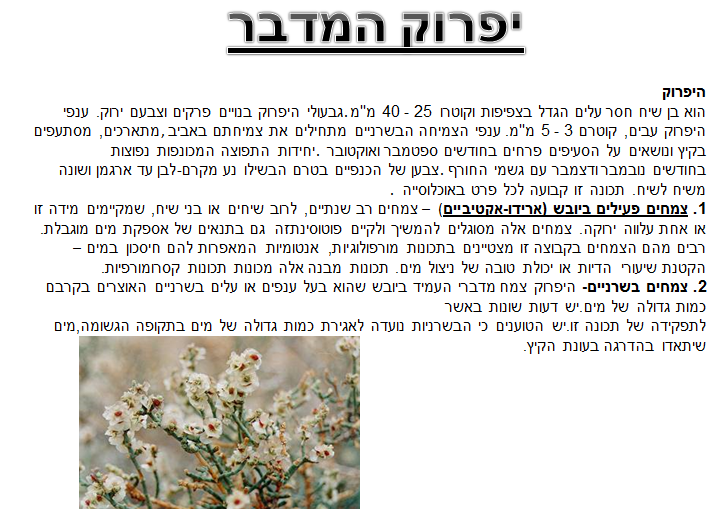 קבוצה ה’ by NIKOL VO - Ourboox.com