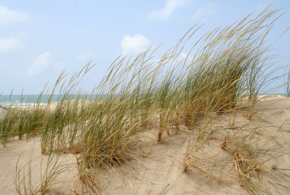 קבוצה ה’ by NIKOL VO - Ourboox.com