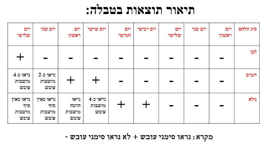תהליך החקר השלם -יעל שי-לי אלמוג בן אדיבה ויונתן ☺ by shaylee - Ourboox.com