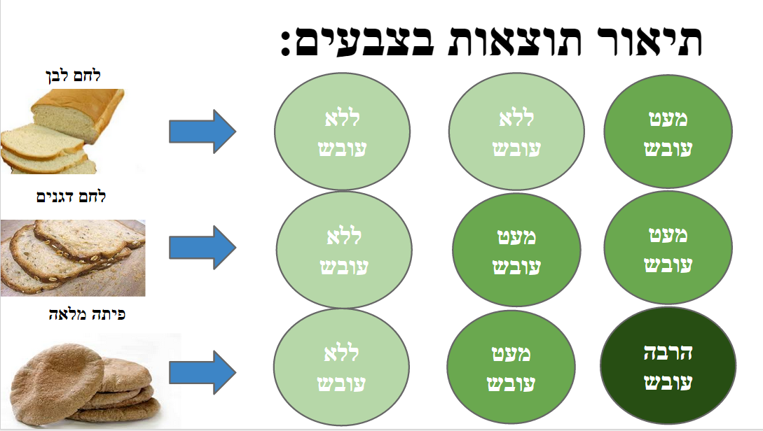 תהליך החקר השלם -יעל שי-לי אלמוג בן אדיבה ויונתן ☺ by shaylee - Ourboox.com