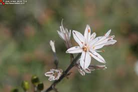 קבוצה ב’ by shiran - Ourboox.com