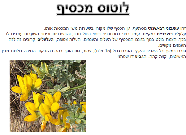 קבוצה ה’ by NIKOL VO - Ourboox.com