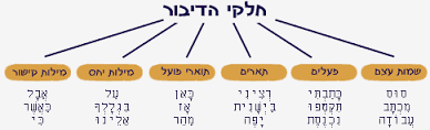 חלקי הדיבר by itaidh - Ourboox.com