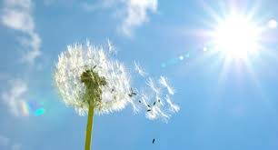 ספר התפילות שלי by Noam - Illustrated by נעם שלג - Ourboox.com