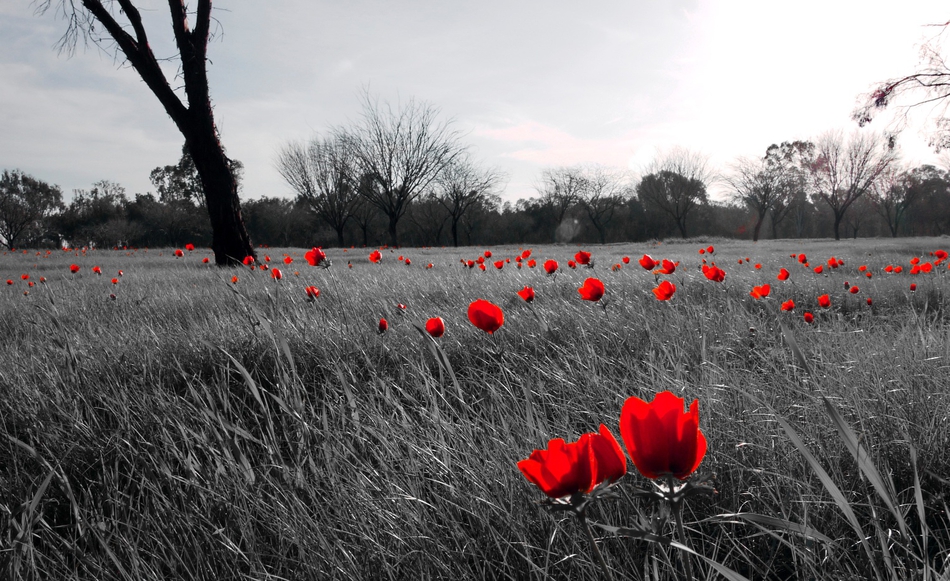 ספר התפילות שלי by Noam - Illustrated by נעם שלג - Ourboox.com