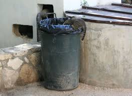 The Nyan Cat by alice - Illustrated by Alice Matiushkina - Ourboox.com