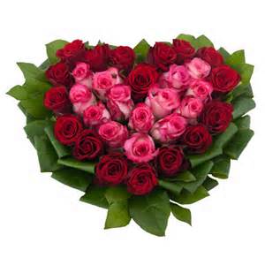 תמונות ילדים by ANGELA OJALVO - Illustrated by אנג