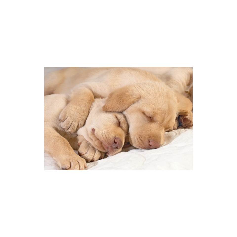 להיות סמחים by fortuna - Illustrated by פורטונה - Ourboox.com