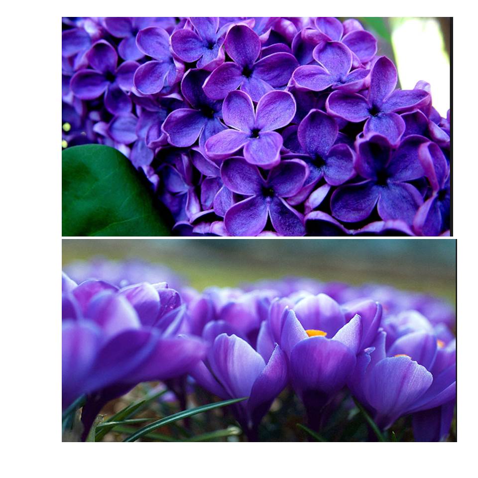 להיות סמחים by fortuna - Illustrated by פורטונה - Ourboox.com