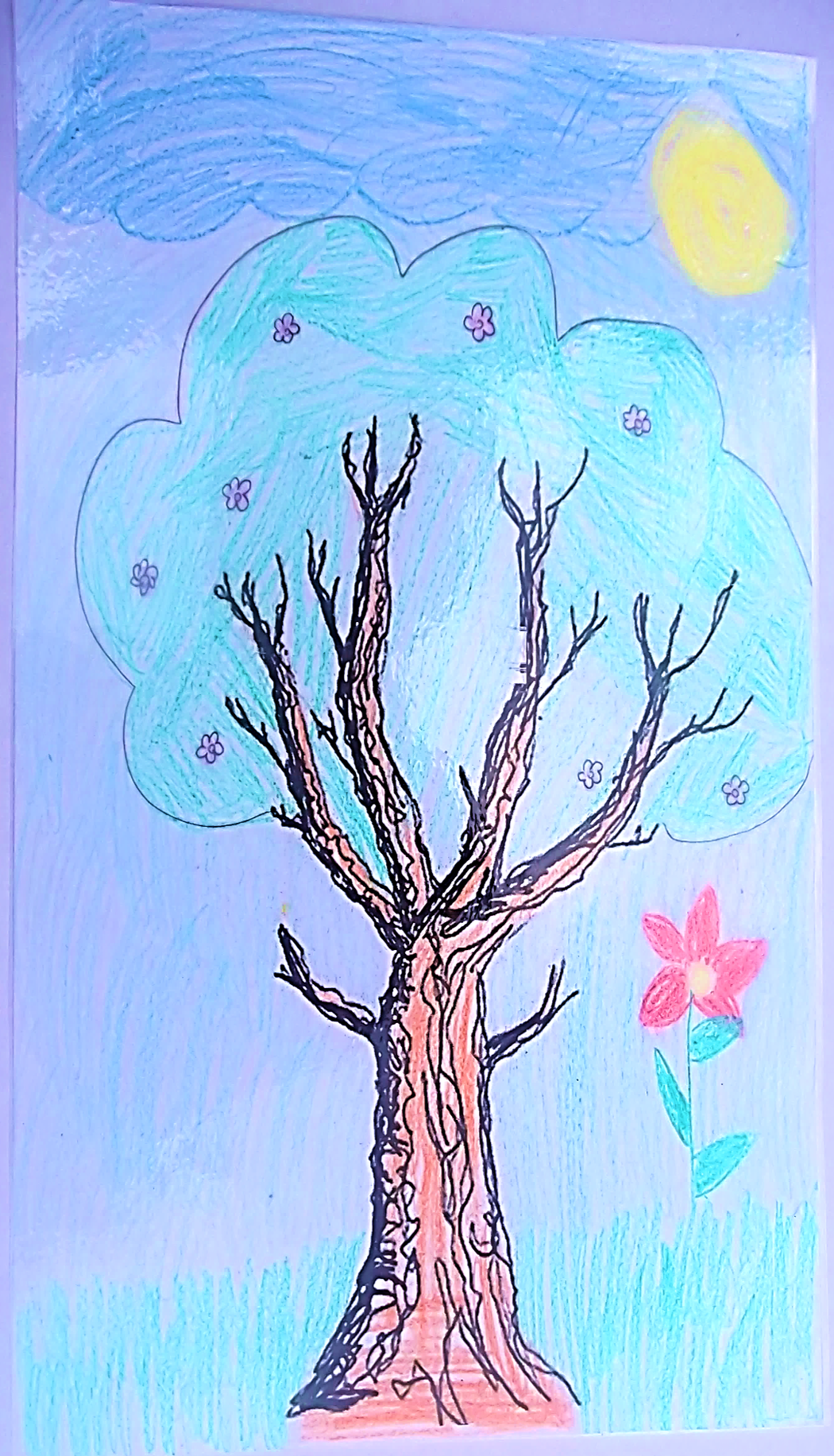 סיפורי עצים כיתה ג’ by galimord - Illustrated by תלמידי כיתה ג