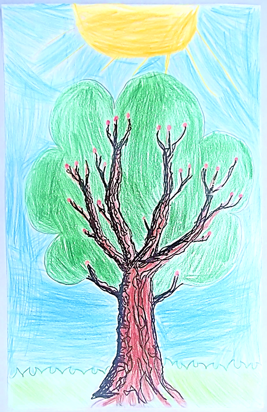 סיפורי עצים כיתה ג’ by galimord - Illustrated by תלמידי כיתה ג