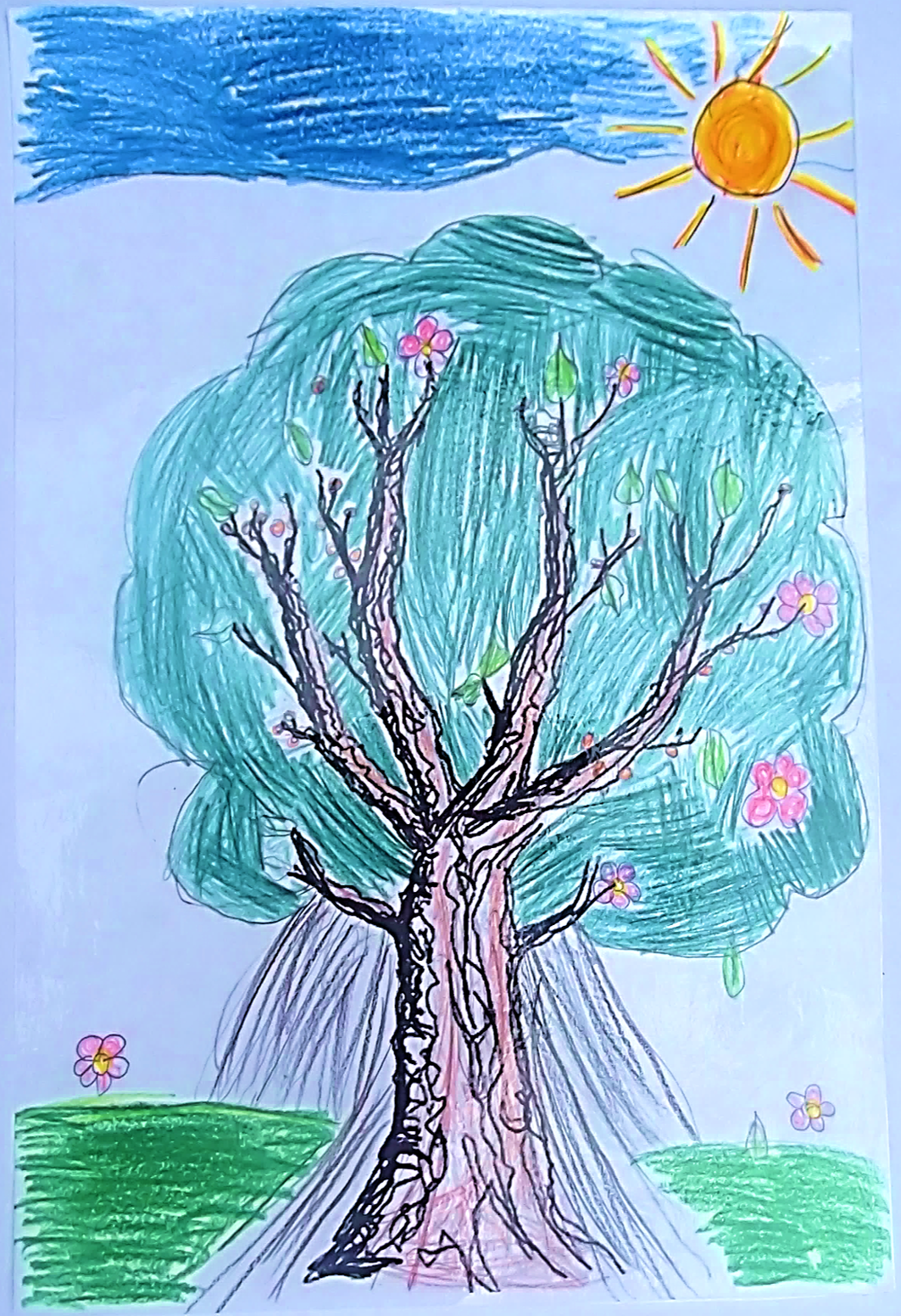 סיפורי עצים כיתה ג’ by galimord - Illustrated by תלמידי כיתה ג