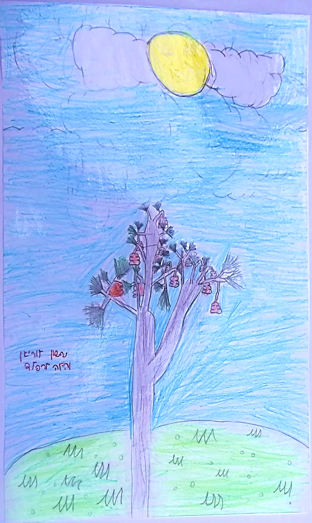 סיפורי עצים כיתה ג’ by galimord - Illustrated by תלמידי כיתה ג