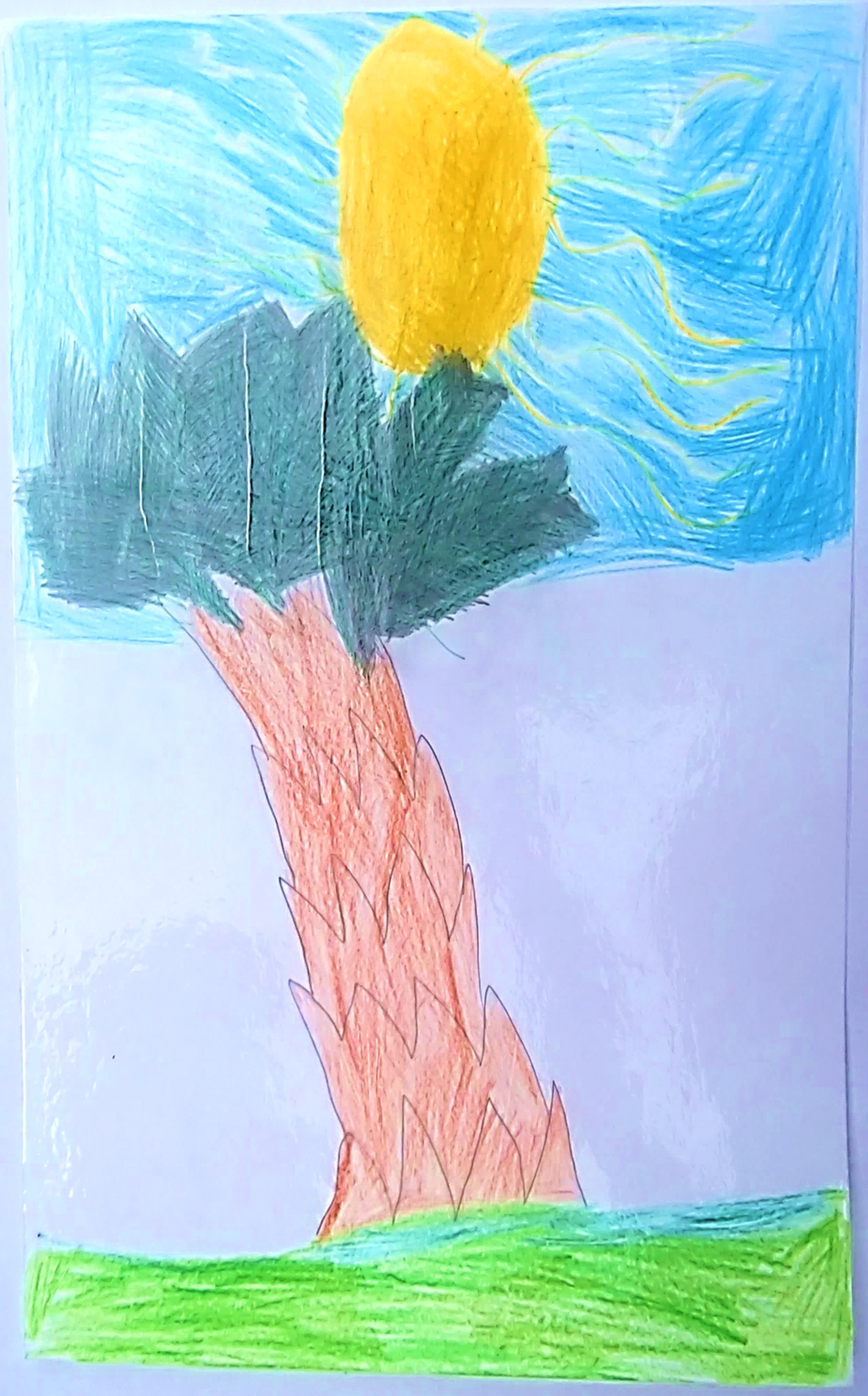 סיפורי עצים כיתה ג’ by galimord - Illustrated by תלמידי כיתה ג