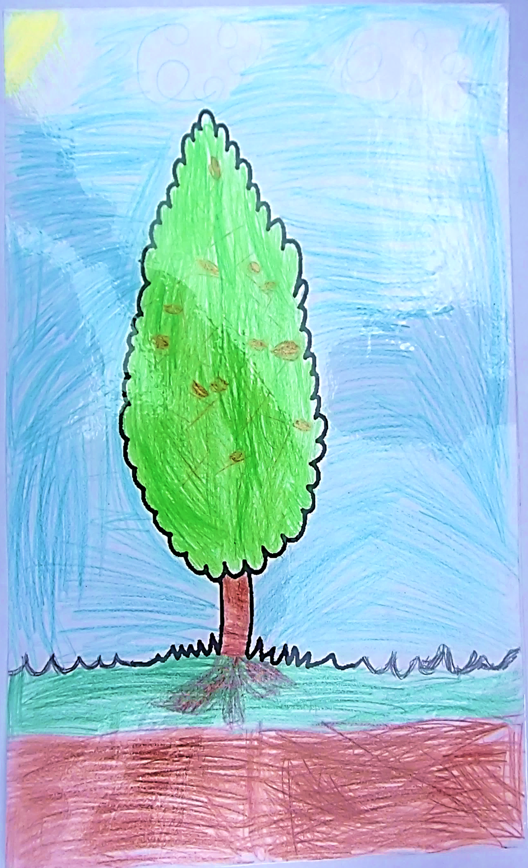 סיפורי עצים כיתה ג’ by galimord - Illustrated by תלמידי כיתה ג