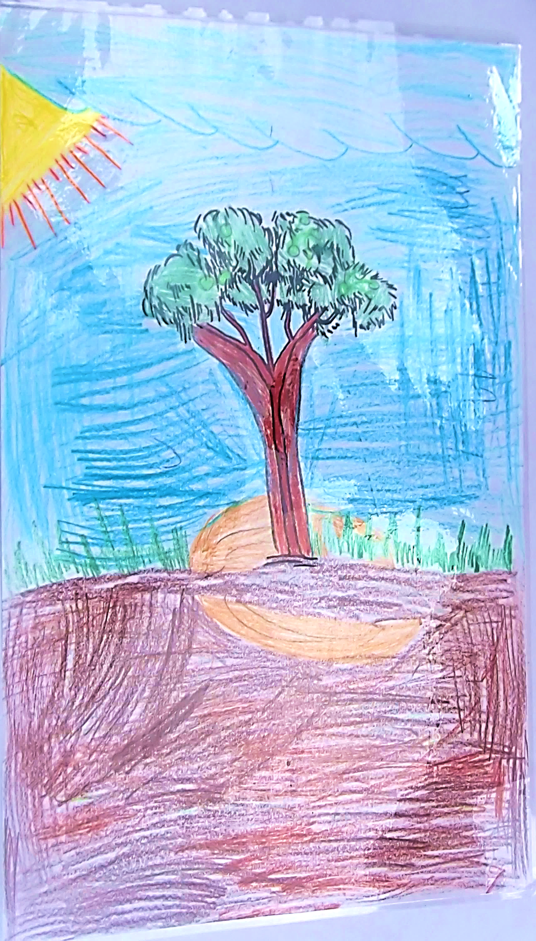 סיפורי עצים כיתה ג’ by galimord - Illustrated by תלמידי כיתה ג